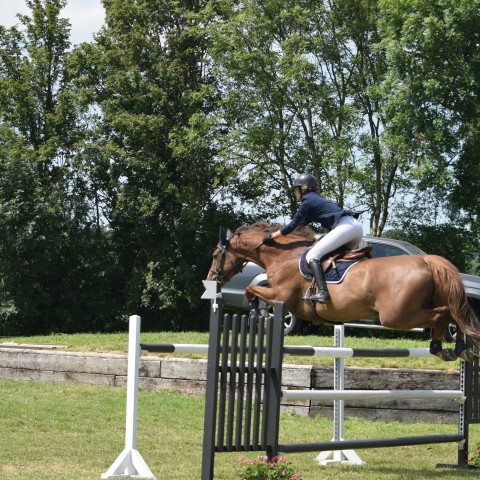 13. Grand Prix 135 - 2019