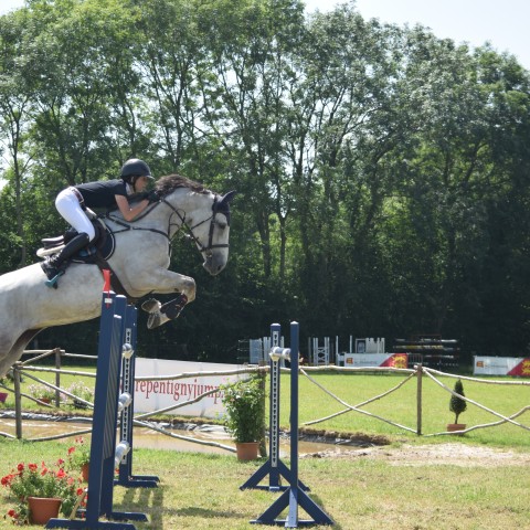 13. Grand Prix 135 - 2019