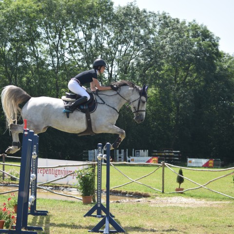 13. Grand Prix 135 - 2019
