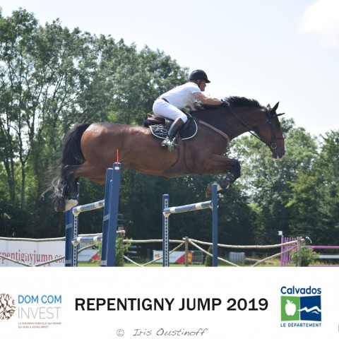 13. Grand Prix 135 - 2019