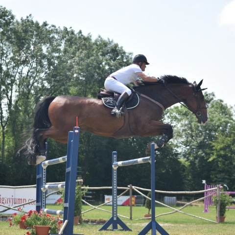 13. Grand Prix 135 - 2019