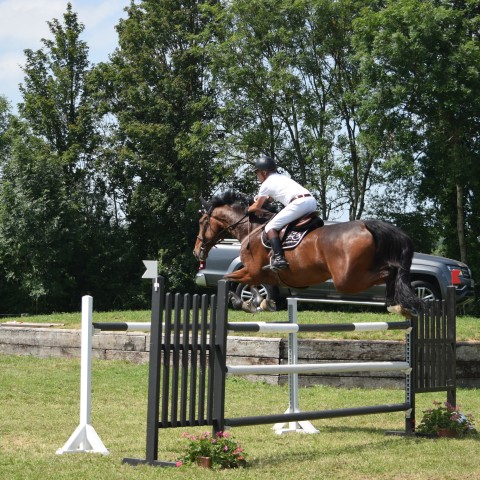 13. Grand Prix 135 - 2019