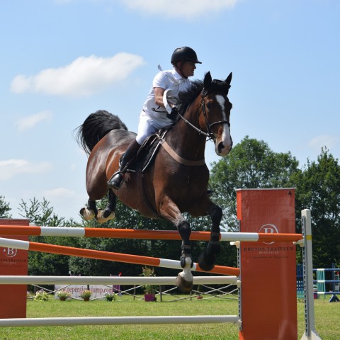 13. Grand Prix 135 - 2019