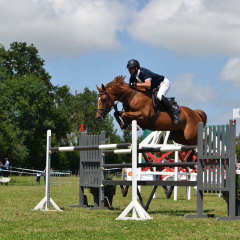 13. Grand Prix 135 - 2019