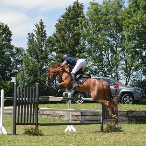 13. Grand Prix 135 - 2019