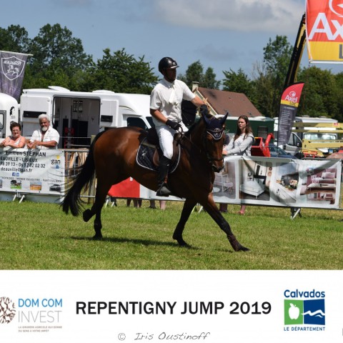 13. Grand Prix 135 - 2019