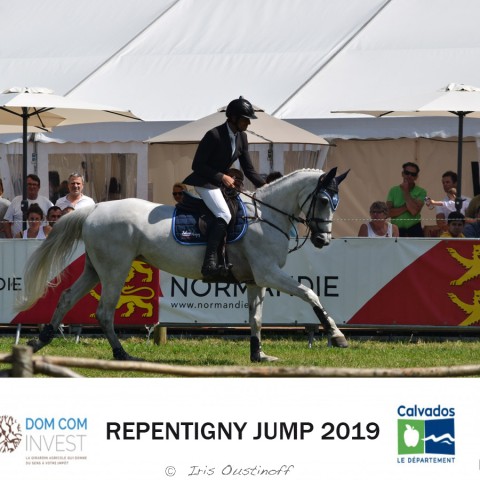 13. Grand Prix 135 - 2019
