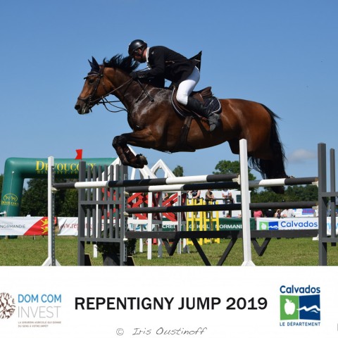 13. Grand Prix 135 - 2019