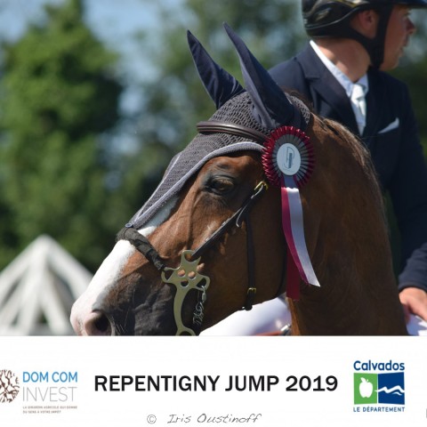 13. Grand Prix 135 - 2019
