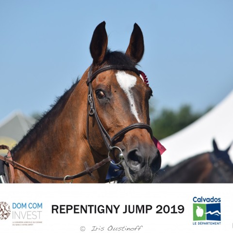 13. Grand Prix 135 - 2019