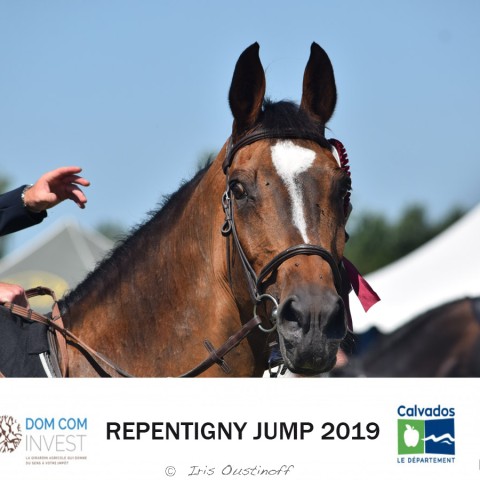 13. Grand Prix 135 - 2019