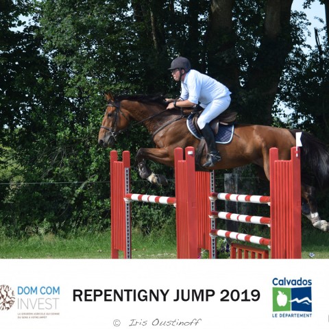 14. Grand Prix 120 - 2019