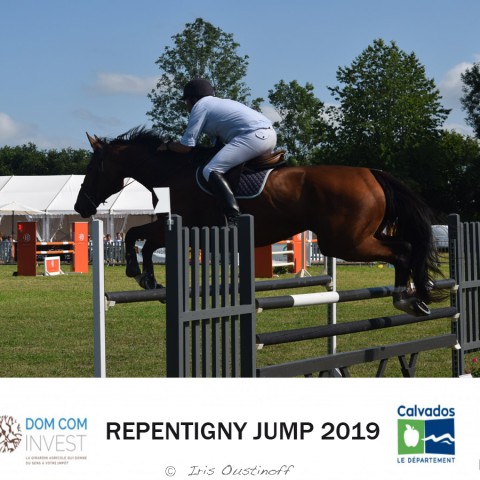 14. Grand Prix 120 - 2019