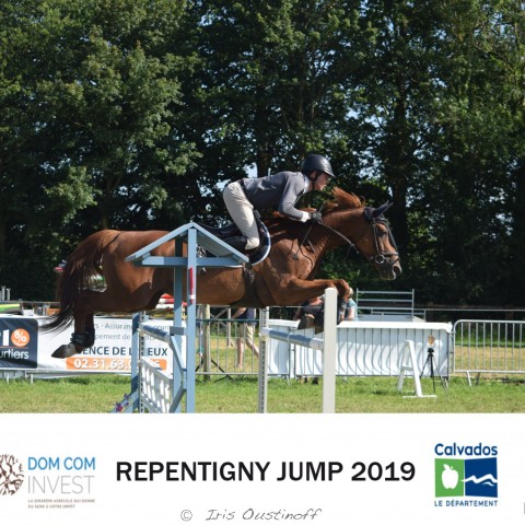 14. Grand Prix 120 - 2019