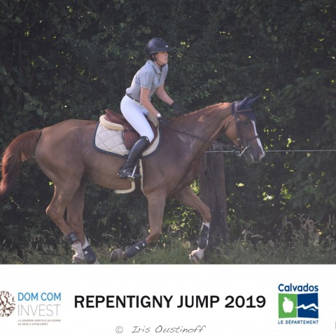 14. Grand Prix 120 - 2019