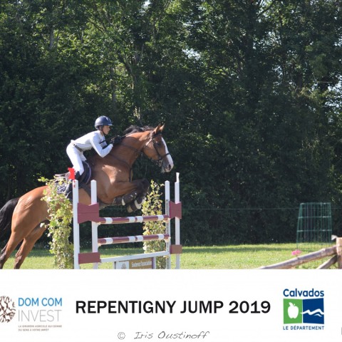 14. Grand Prix 120 - 2019