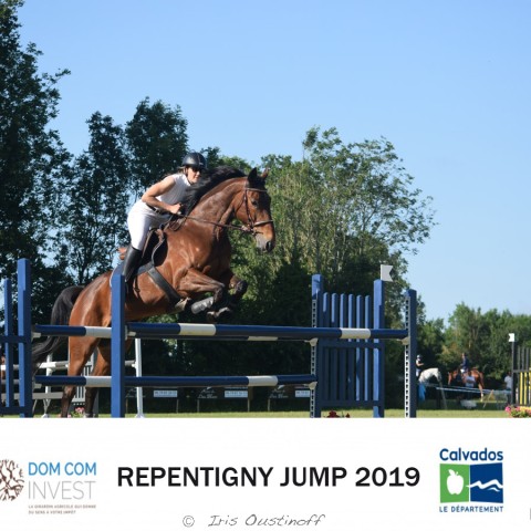 14. Grand Prix 120 - 2019