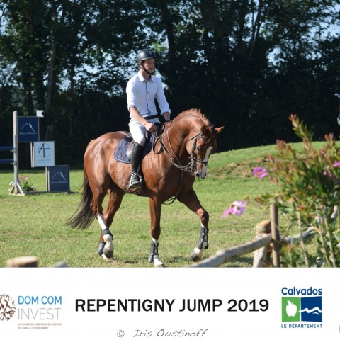 14. Grand Prix 120 - 2019