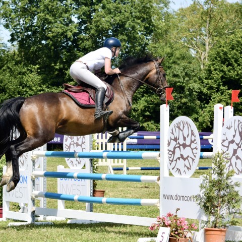 11._Grand_Prix_115