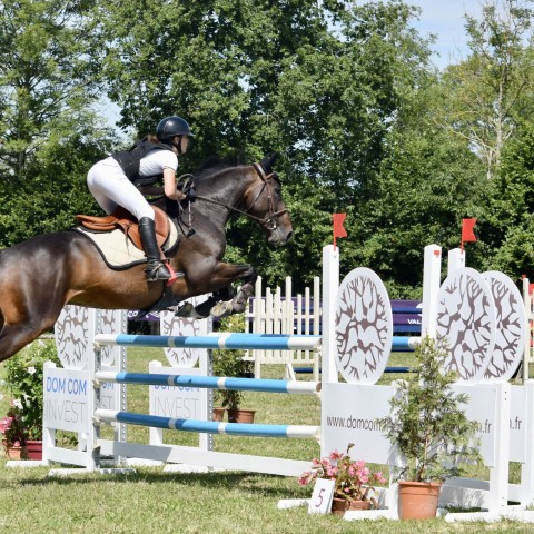 11._Grand_Prix_115