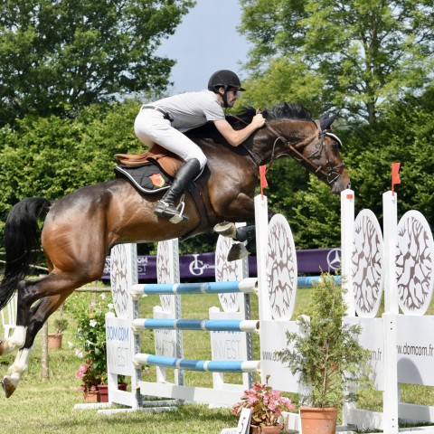 11._Grand_Prix_115