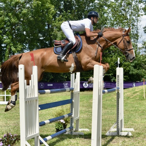 12. Grand Prix 130