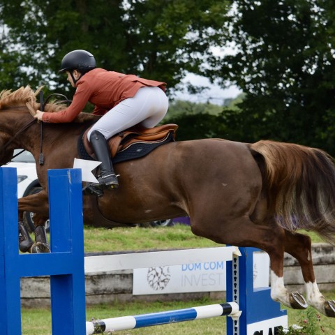 17. Grand Prix 115