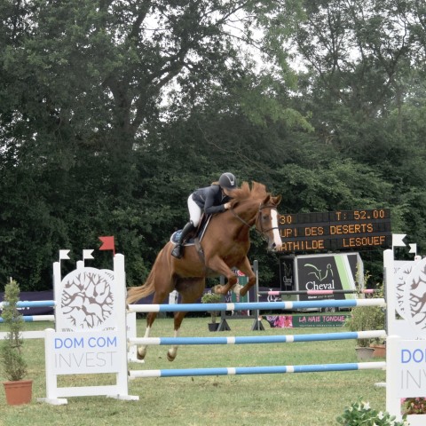 17._Grand_Prix_115