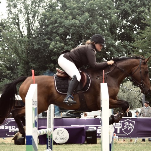 17._Grand_Prix_115