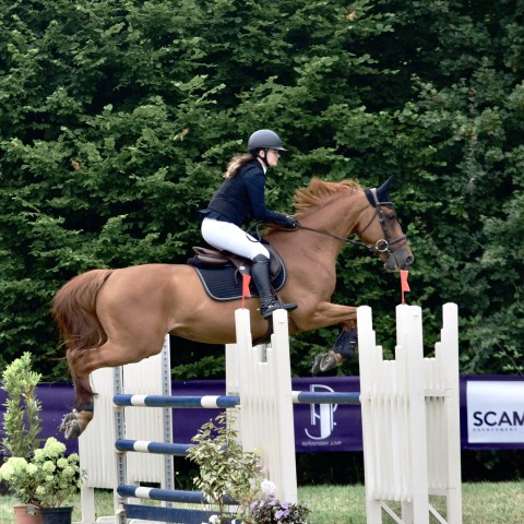 17._Grand_Prix_115