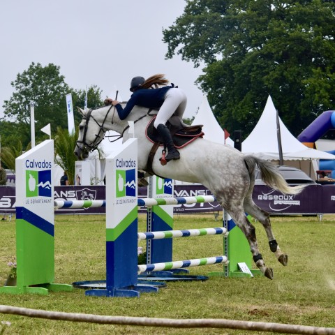 17._Grand_Prix_115