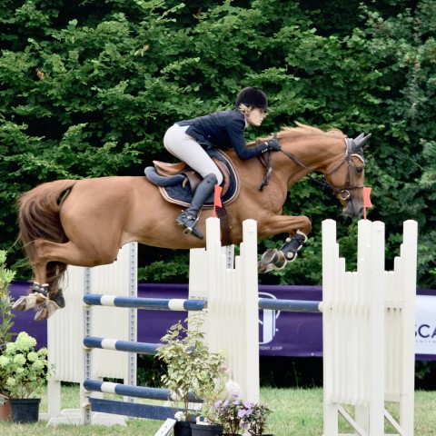 17._Grand_Prix_115