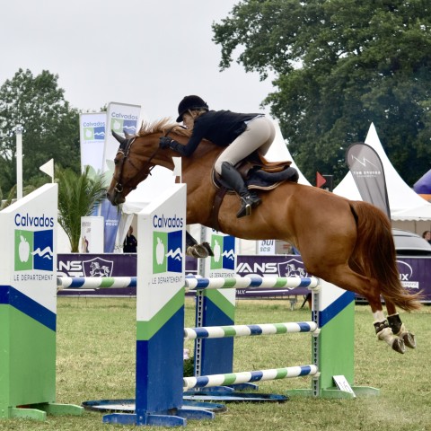 17._Grand_Prix_115