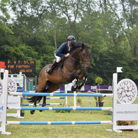 17._Grand_Prix_115