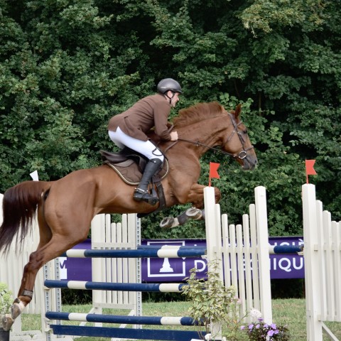 17._Grand_Prix_115