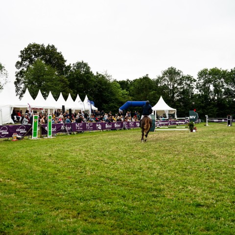 Ambiance_2024_Iris