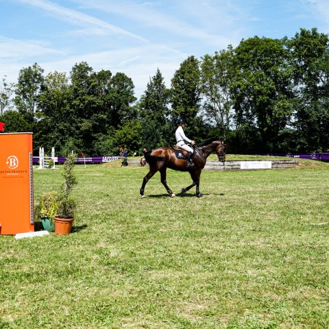 Ambiance_2024_Iris