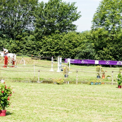Ambiance_2024_Iris