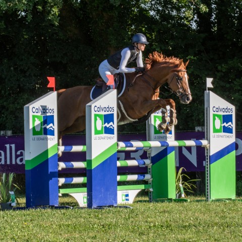 1._Prepa_115