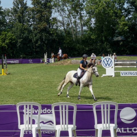 Ambiance 2025 Iris