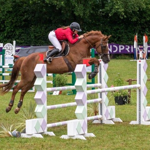 17._Grand_Prix_115