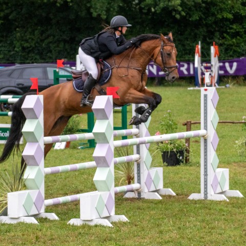 17._Grand_Prix_115