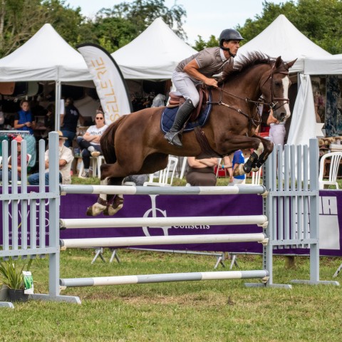 14._Grand_Prix_120