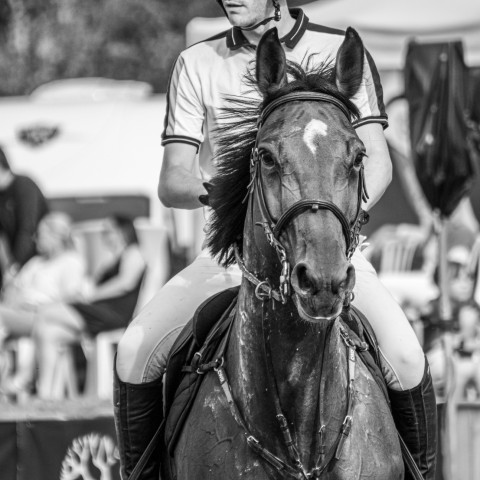 14._Grand_Prix_120