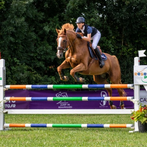 14._Grand_Prix_120