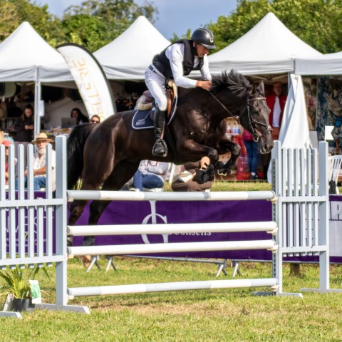 14._Grand_Prix_120