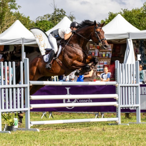 14._Grand_Prix_120