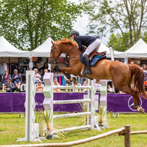 12._Grand_Prix_140