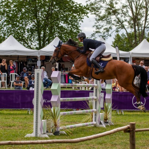 12._Grand_Prix_140
