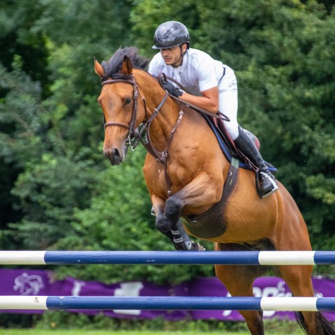 12._Grand_Prix_140